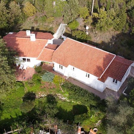Perfect For Quiet Vacation With Family And Friends Villa Setubal Ngoại thất bức ảnh